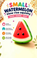 Small Watermelon Slow Rise Squishy